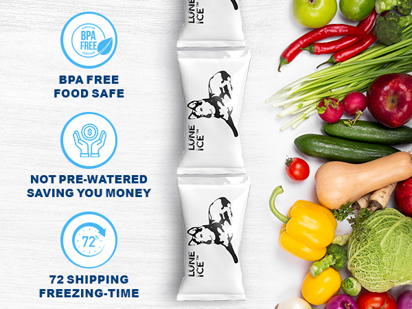 BPA FREE ICE PACKS