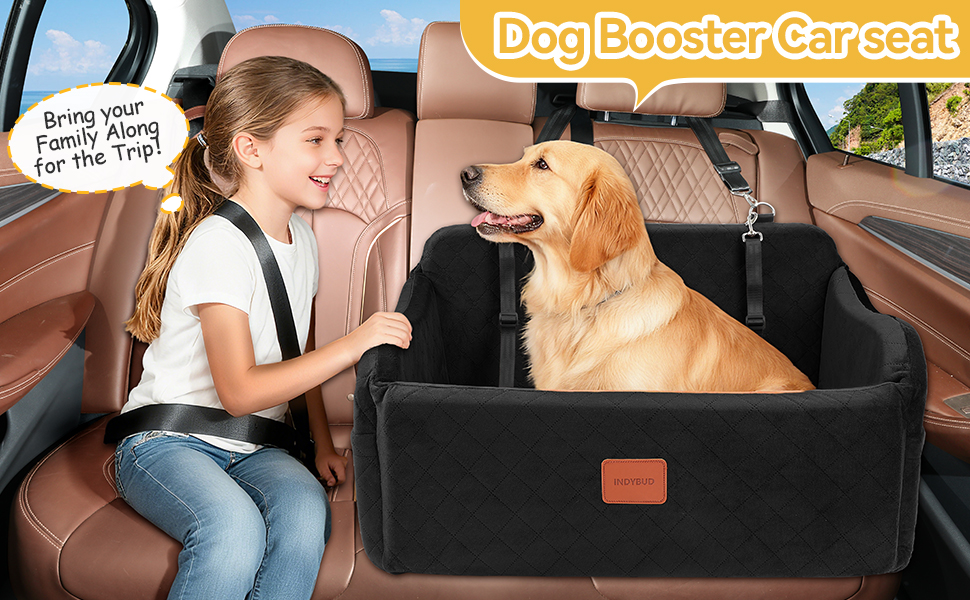 large Dog Booster Car seat