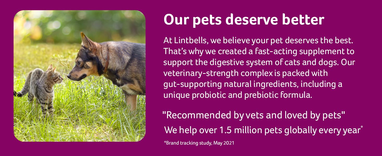 Lintbells YuDIGEST Plus for Dogs Veterinary Strength Fastacting