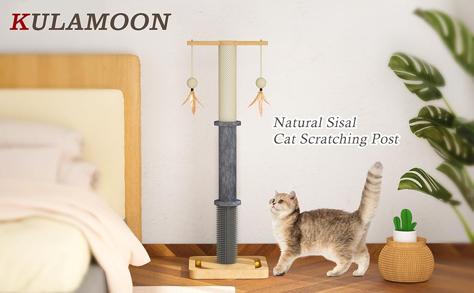 Cat Scratching Post, Cat Scratcher Post with Interactive