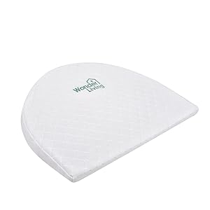 baby wedge pillow