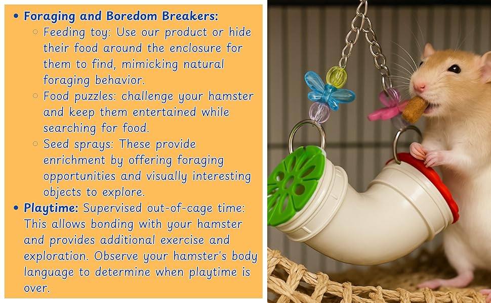 Treat Dispenser Rat Foraging Toy