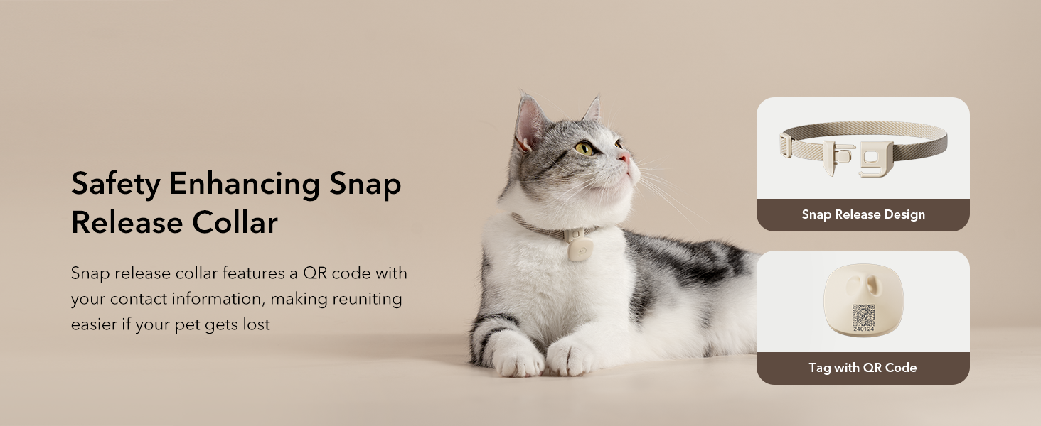 PETLIBRO RFID Automatic Cat Feeder, 5G WiFi Automatic Pet