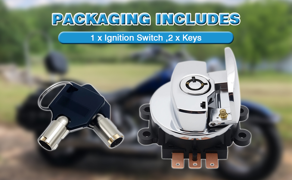 Amazon.com: Ignition Switch Lock with 2*Keys Compatible with