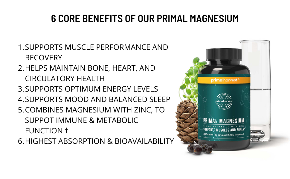 Magnesium Supplement Complex 310mg by Primal Harvest with