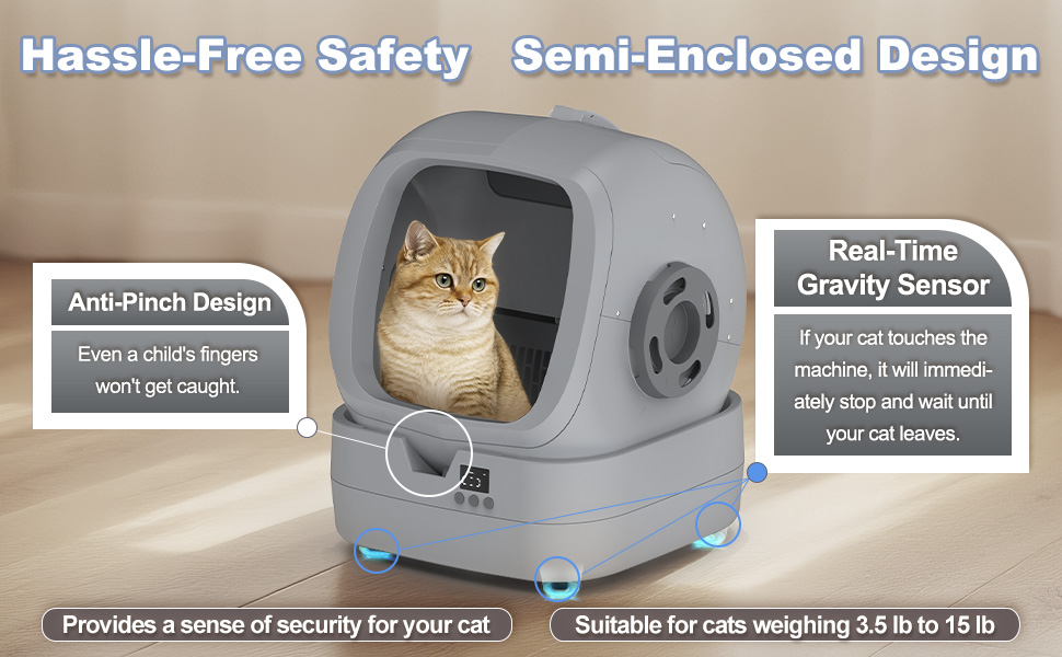 self clean cat little box