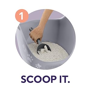 Small manufacture image 5