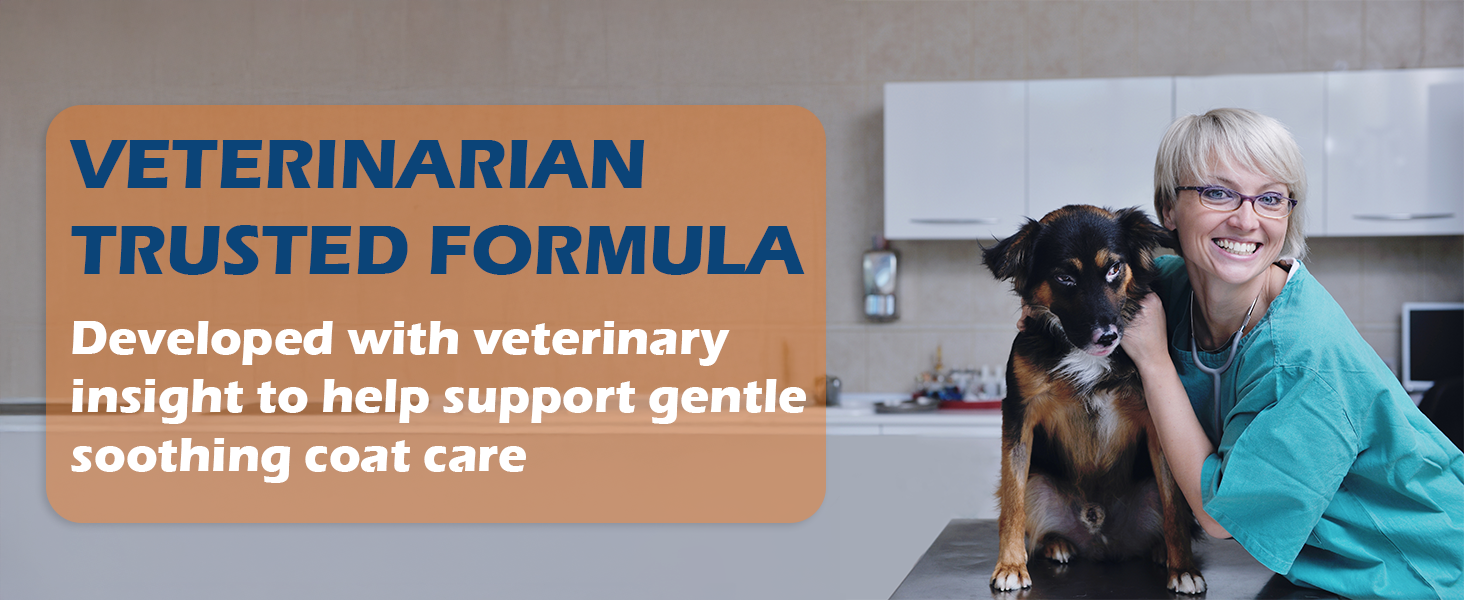 Vet examining dog with Petsus care message