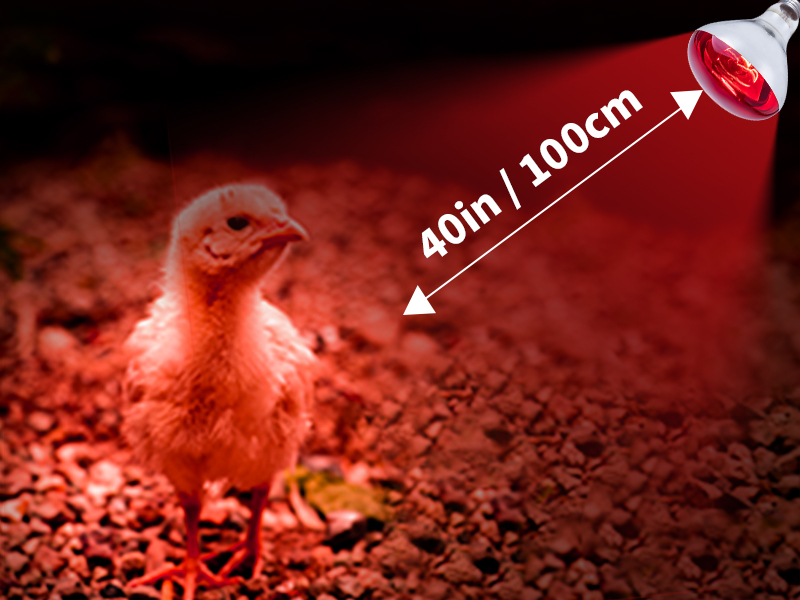 Large manufacture image 4