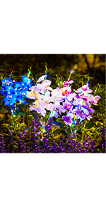 garden lights solar powered