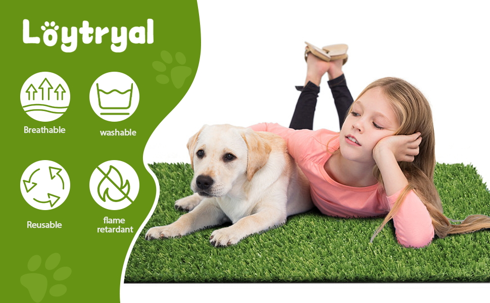 Loytryal 39.4 x 31.5 Inches Fake Grass Pee for Dogs