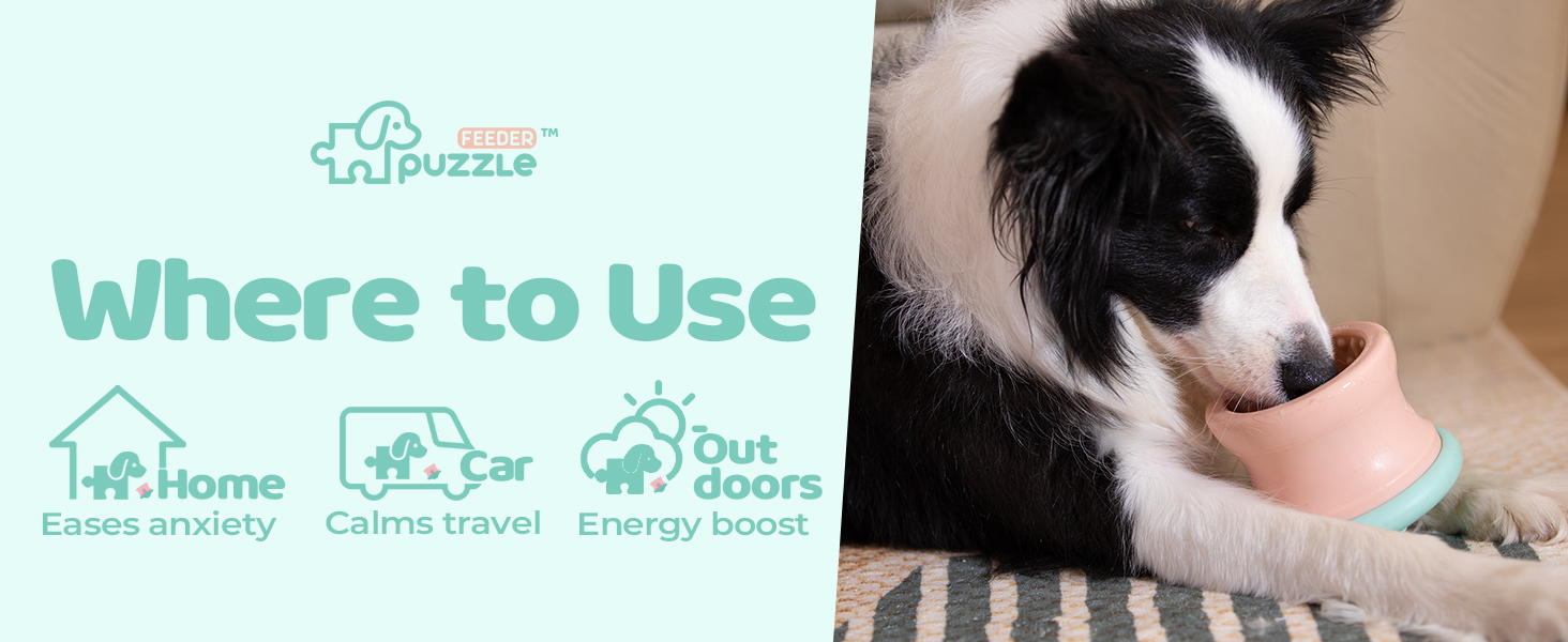 dog feeder for large dogs 