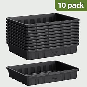 seedling tray
