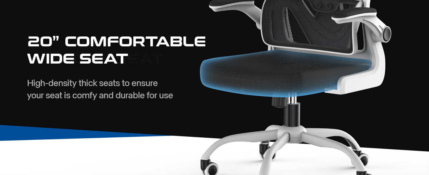 Laziiey Home Office Desk Chairs Ergonomic Chair with Lumbar Support Flip Up Arms