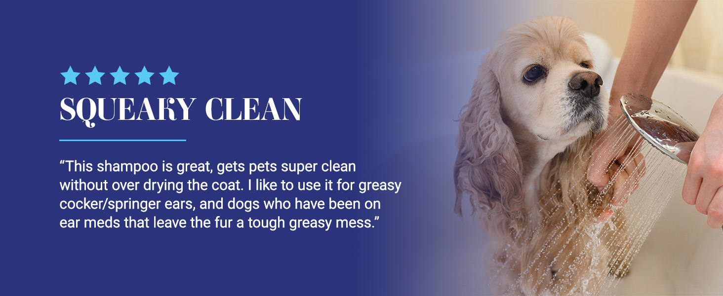 5 star review of Chris Christensen Clean Start Dog Shampoo - great for greasy cocker/springer ears