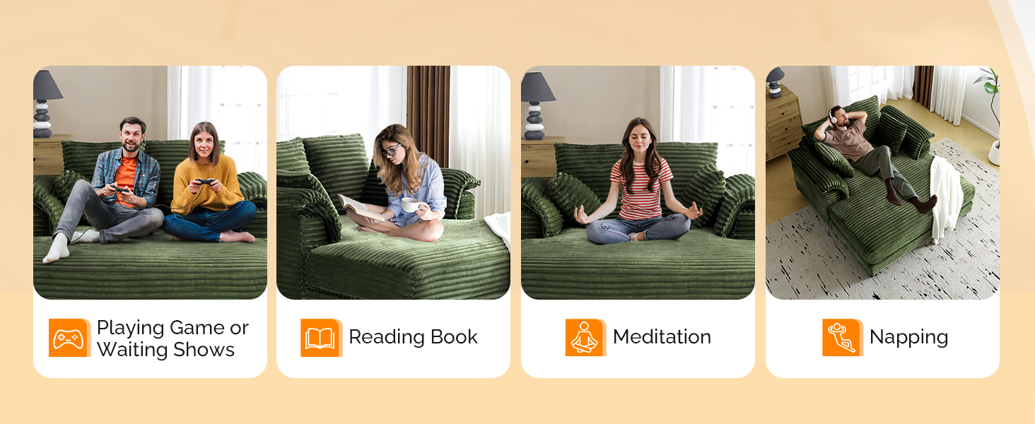 sleeper sofa