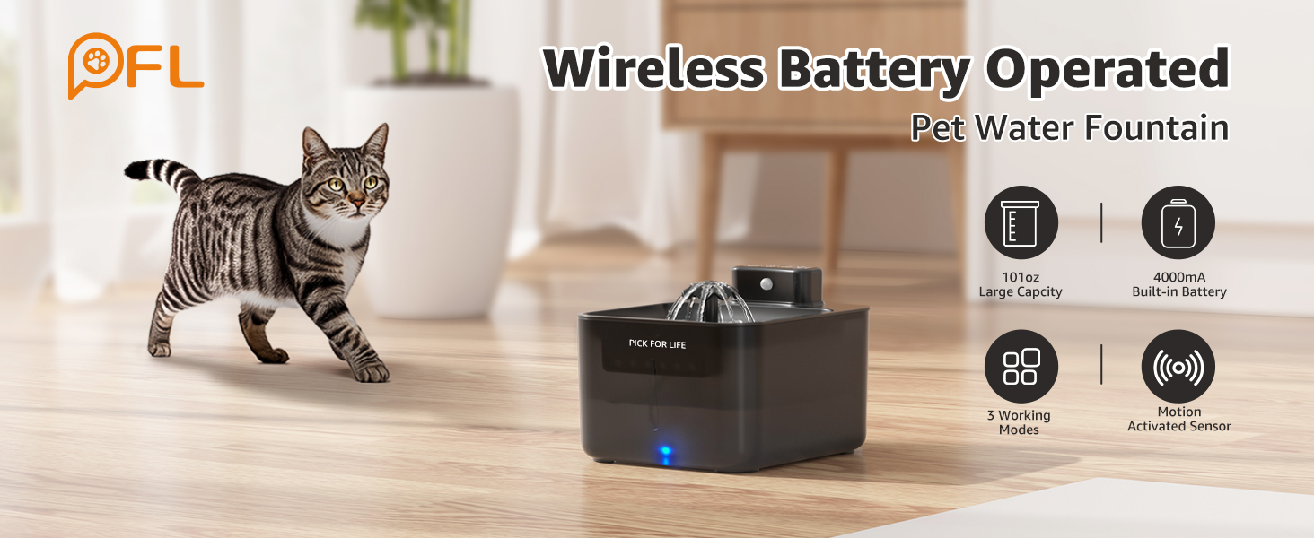 cat water fountain wireless