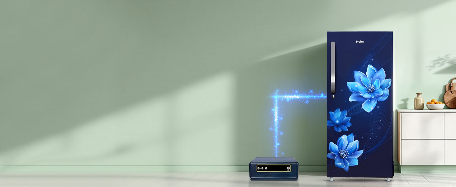 Connect Home Inverter