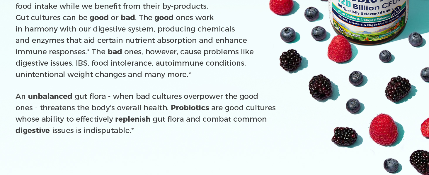 Vitalitown Max Strength Probiotics is formulated to help you find the way to balance and comfort