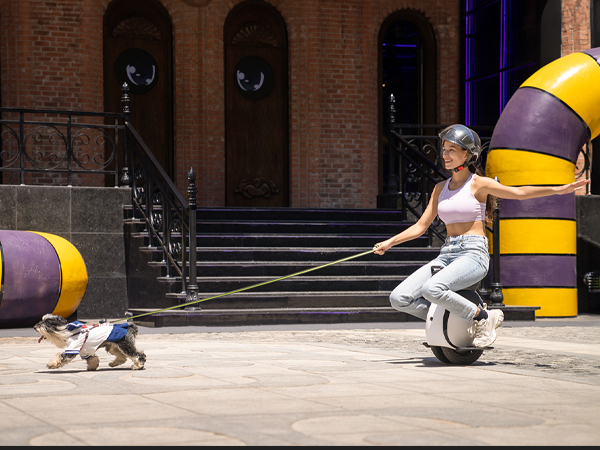 electric one wheel euc