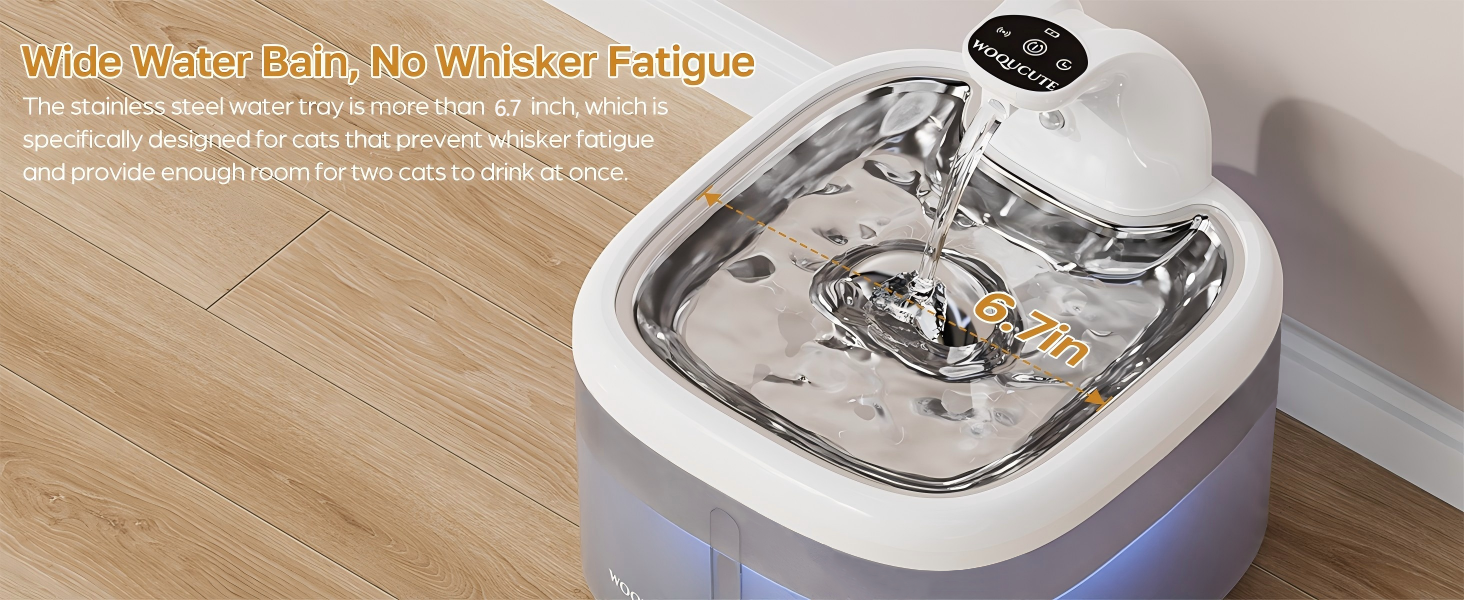 cat fountains for drinking