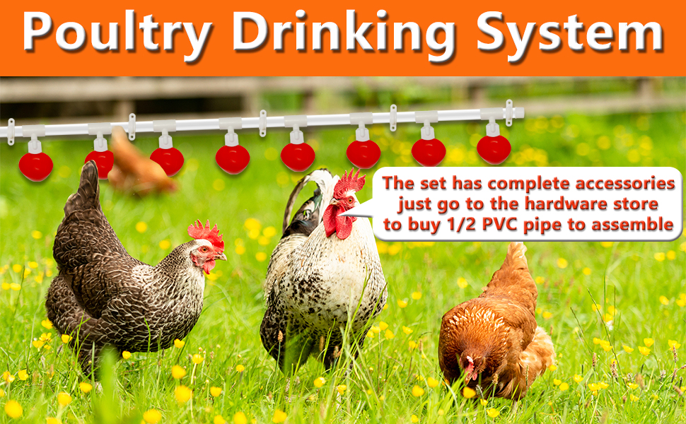 Automatic Chicken Waterer system, 1/2”PVC Tee Fittings