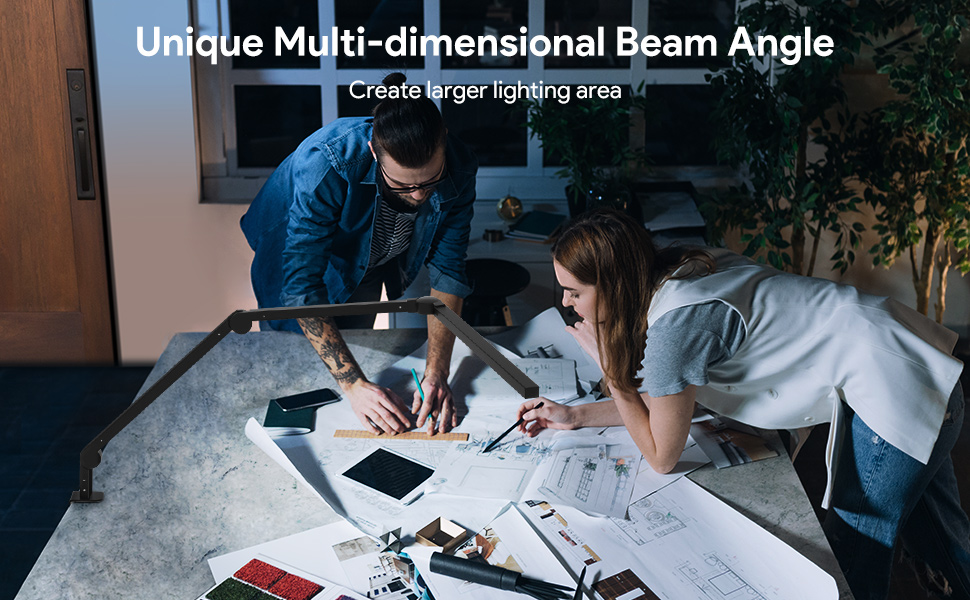 Dual Light Source Swing Arm Lamp