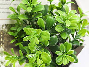 Small manufacture image 4