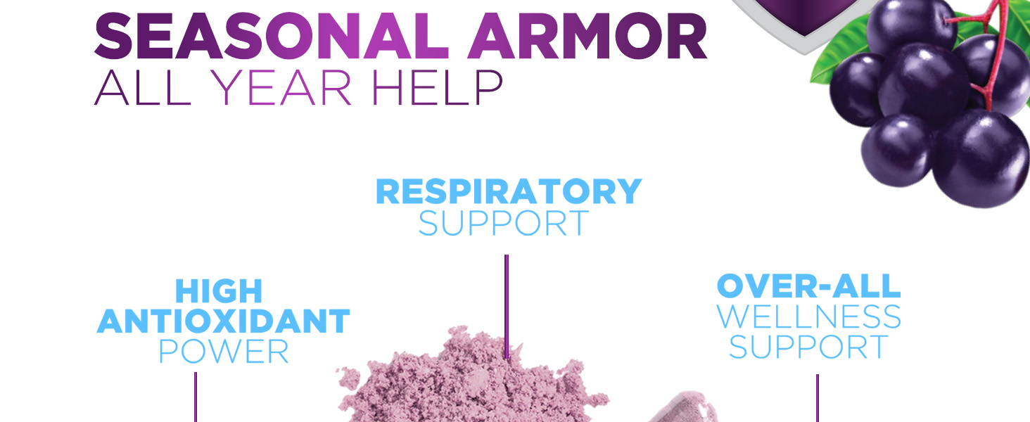 seasonal armor all year help