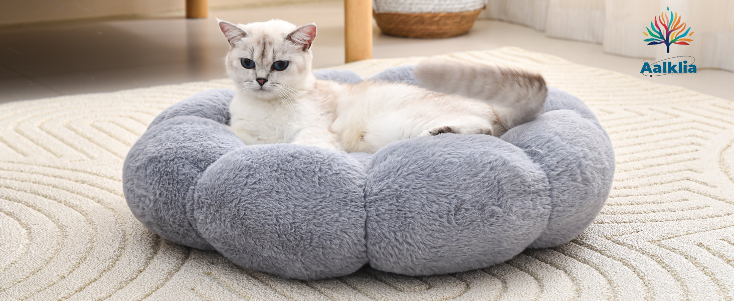 cat bed