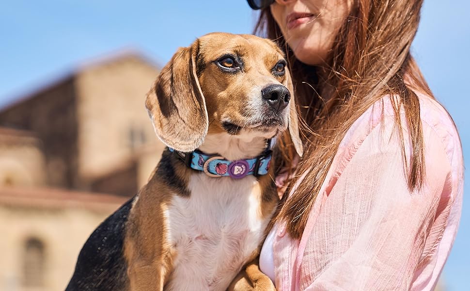 DUKIER - Dog Collar, Adjustable and Adjustable, Neoprene Pet Accessory, Heavy Duty, Unicorns, Size S 15 aplus content image