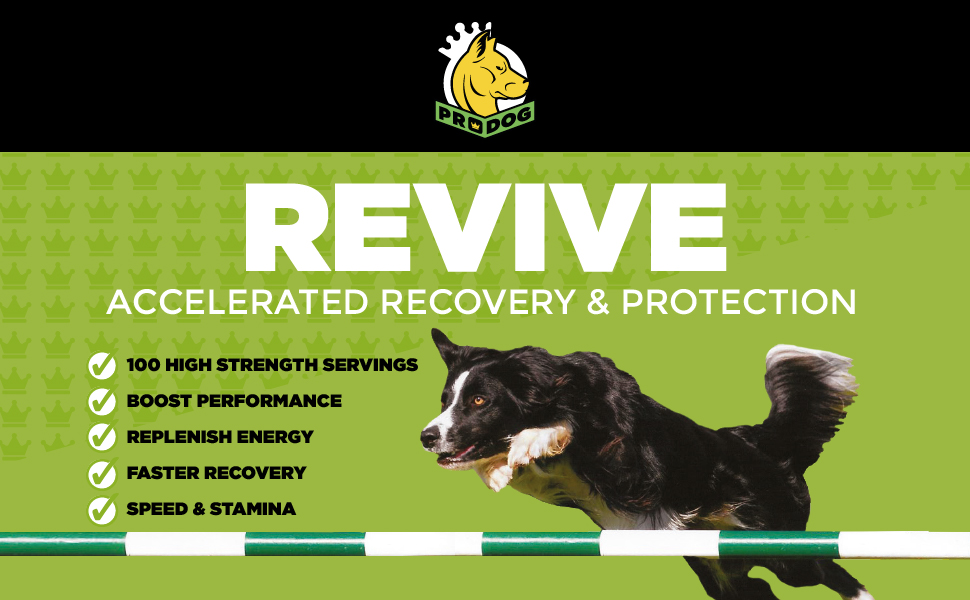 ProDog Revive Dog Energy Supplements 100 Servings Helps Tired, Low