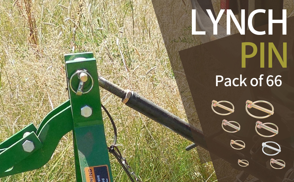 Moicstiy 12Pcs 3/16 Inch Heavy Duty Lynch Pin with Ring