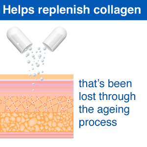 Collasmart A Type 2 Collagen