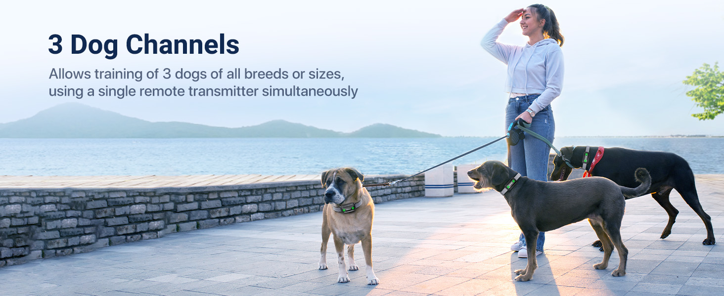 Dog Training Collar with Remote, PEACHAR Shock Collar for Dogs with