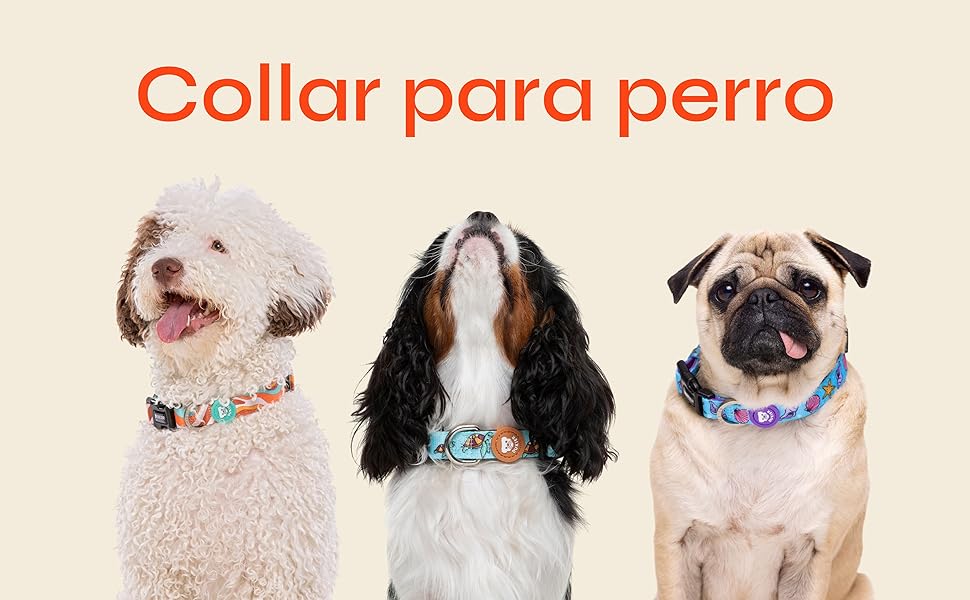 DUKIER - Dog Collar, Adjustable and Adjustable, Neoprene Pet Accessory, Heavy Duty, Unicorns, Size S 7 aplus content image