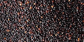 organic black quinoa by food to live