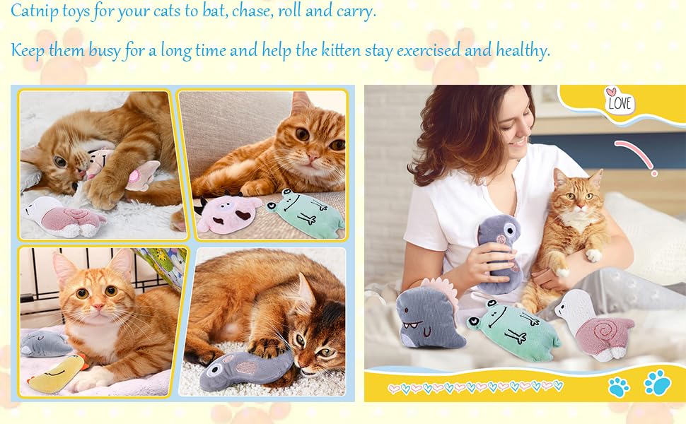 10pcs Catnip Toy for Cats Kitten Supplies for Indoor Cats