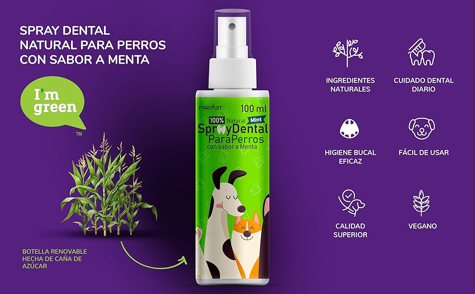 accesorios para perros