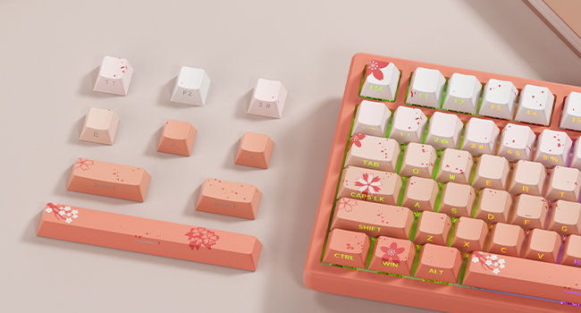 cherry.0329様 Amazon.com: XVX Cherry Blossoms PBT Keycaps, Double Shot
