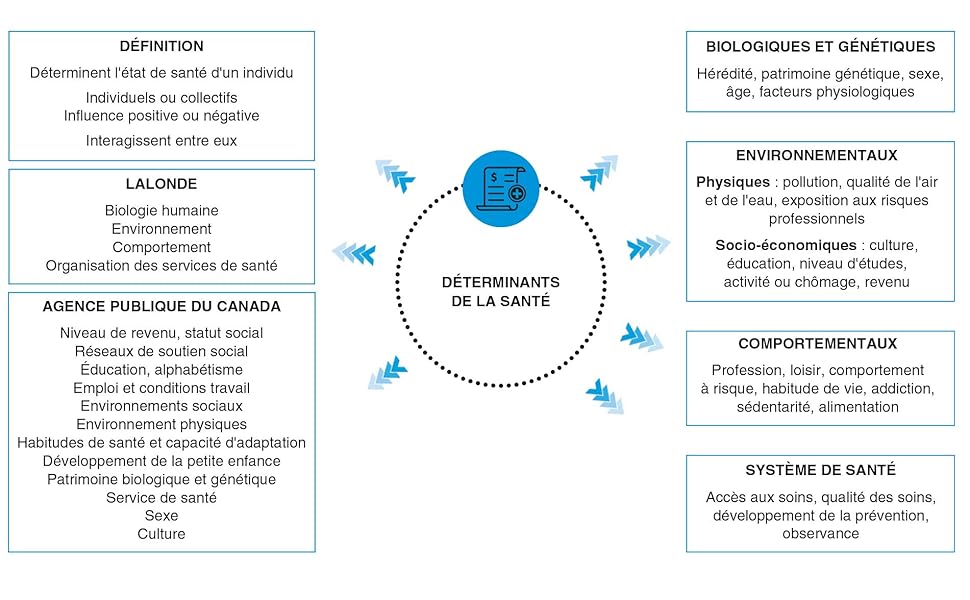 Révision optimale 3 en 1 - IFSI - semestres 3 et 4 - fiches-cartes