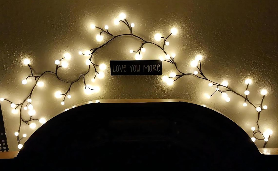 vines with lights