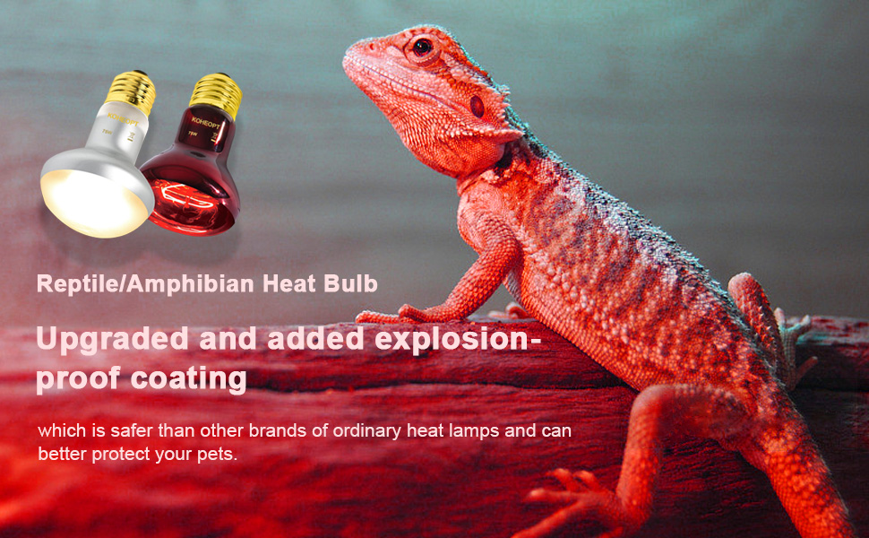 heating lamp for reptiles