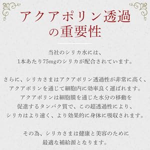 シリカさま専用　２枚クール便 Amazon.co.jp: 国産天然水 シリカさま シリカ75mg/L含有 無添加