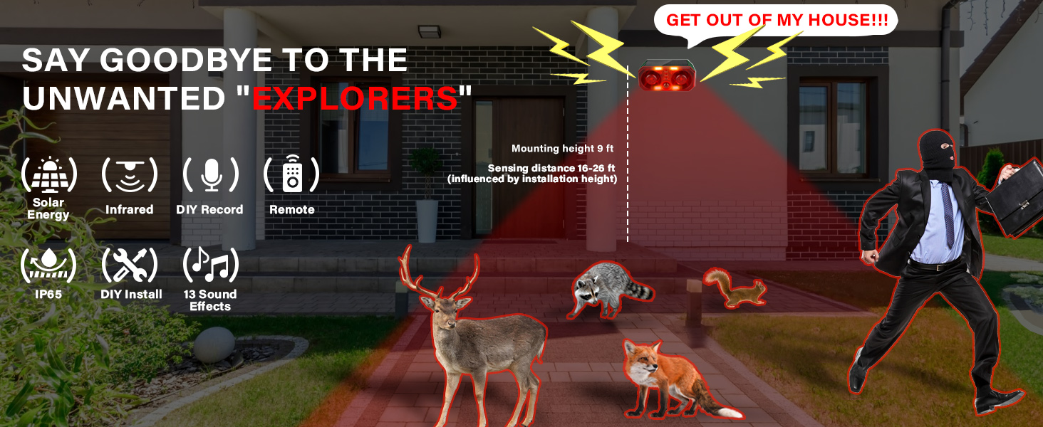 motion sensor alarm outdoor