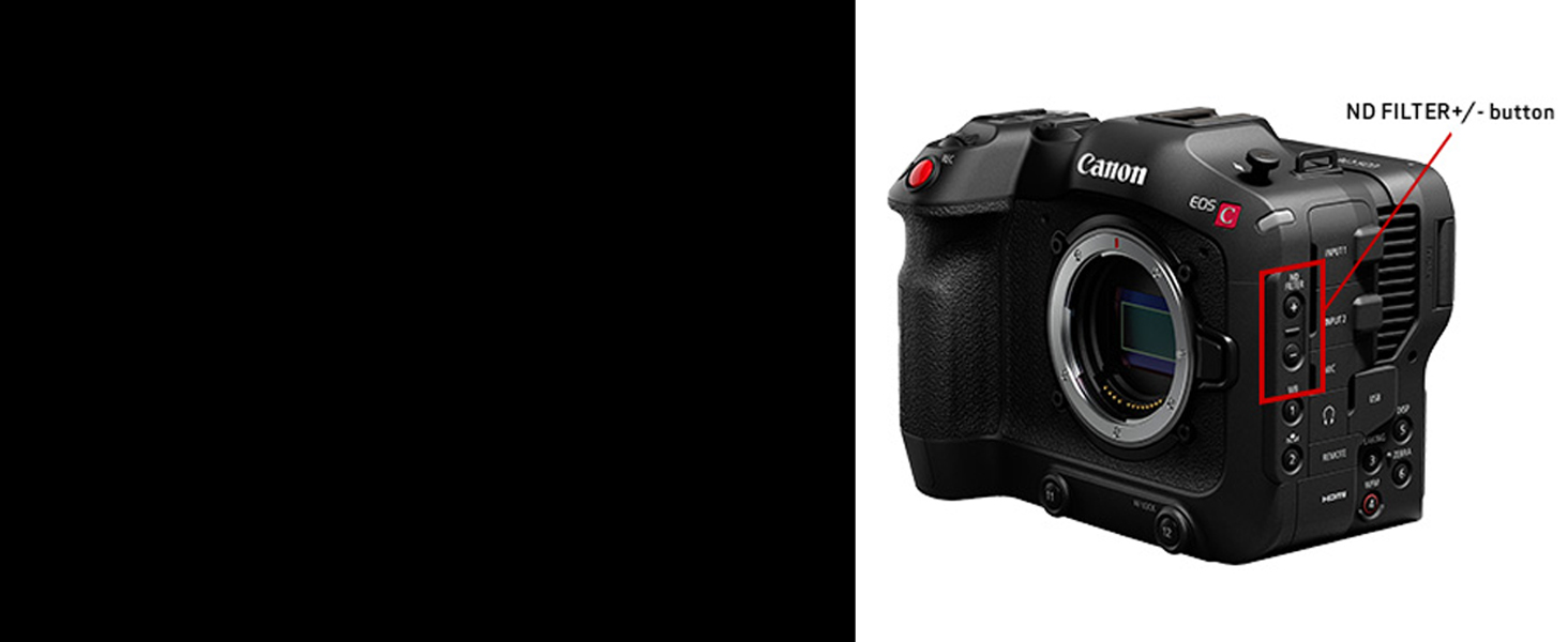 Canon C70 RF24105mm F4 L IS USM Lens Kit RF Cinema