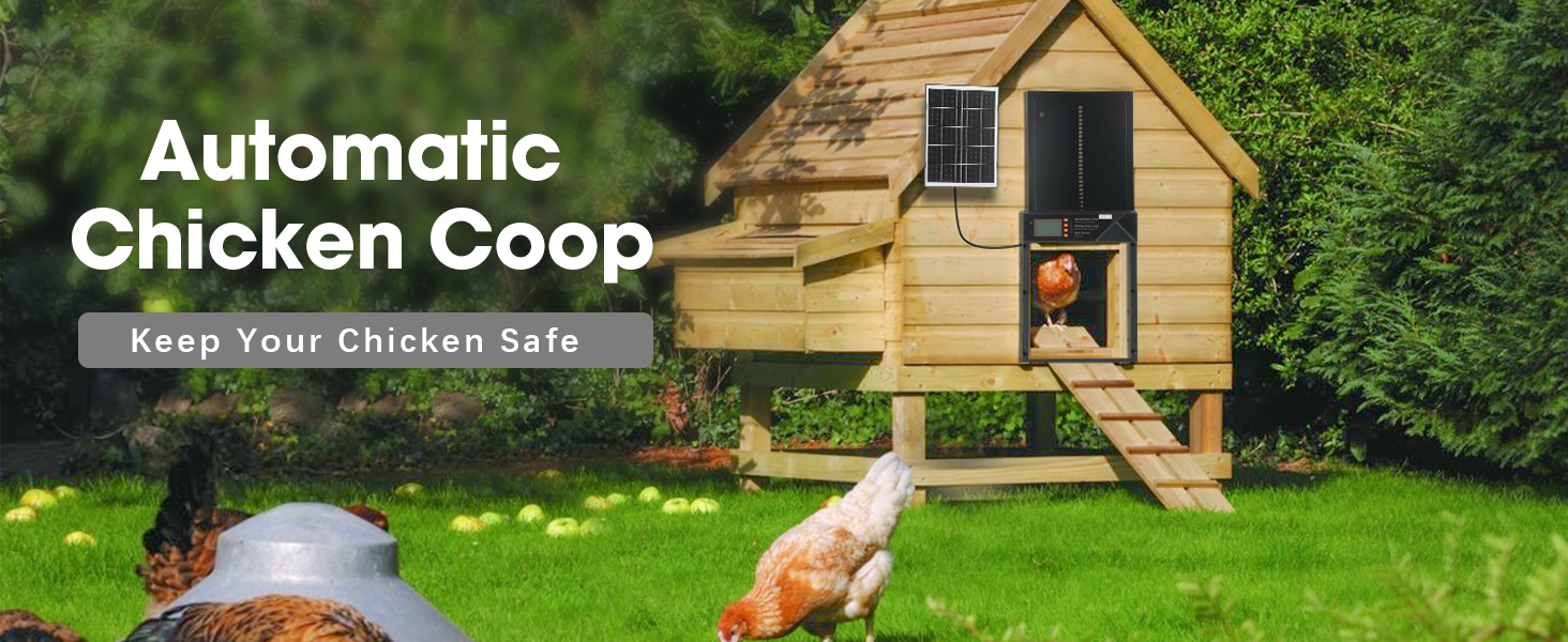 automatic chicken coop door