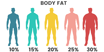 body fat scale