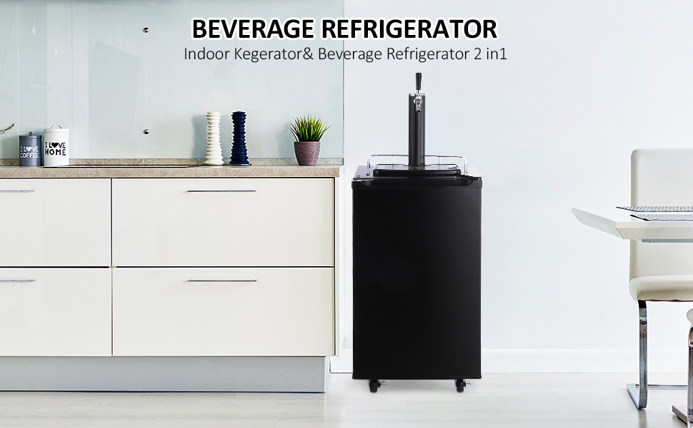 beer keg dispenser for home