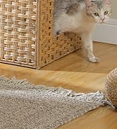 置物 maocat Amazon.com : MUTTROS Flower Cat Tree, 28